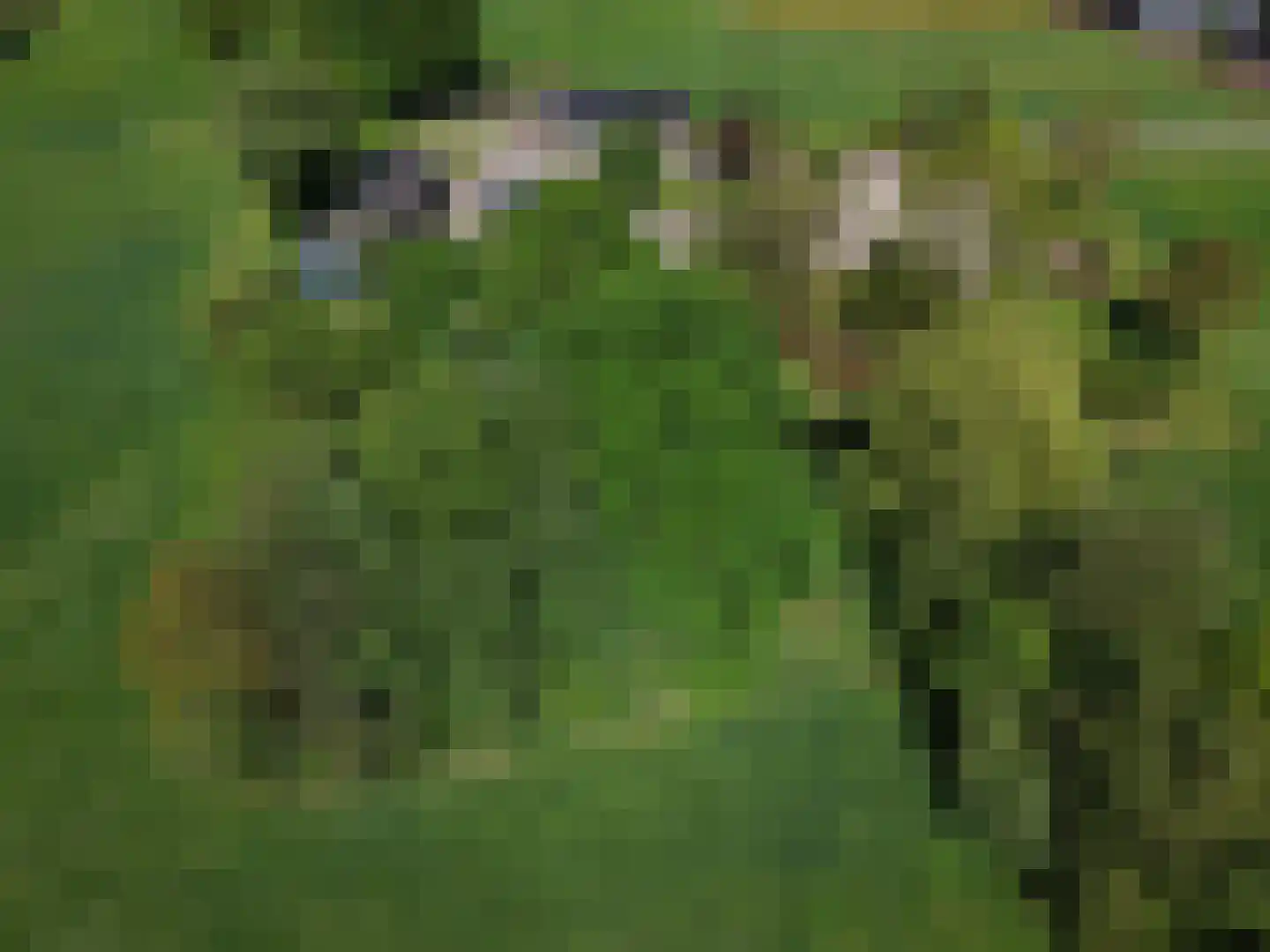 Veengoot 8 Halle thumbnail 8