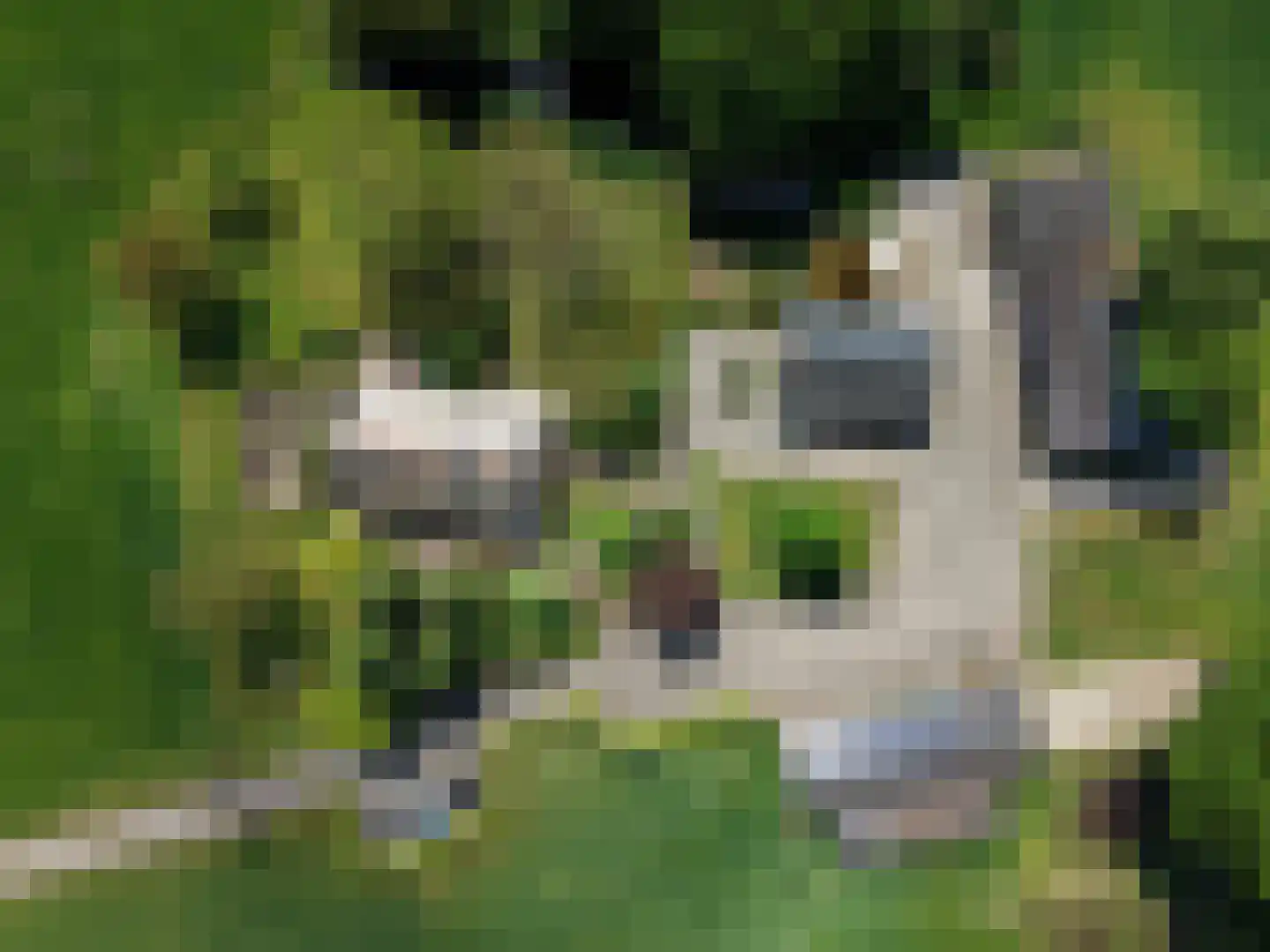 Veengoot 8 Halle thumbnail 9