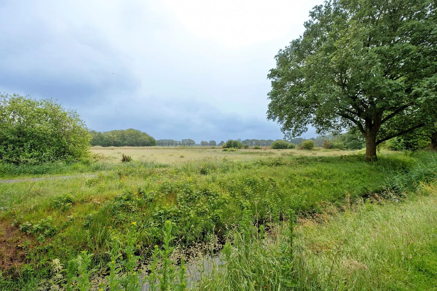 Veenhamel 13 Assen thumbnail 53