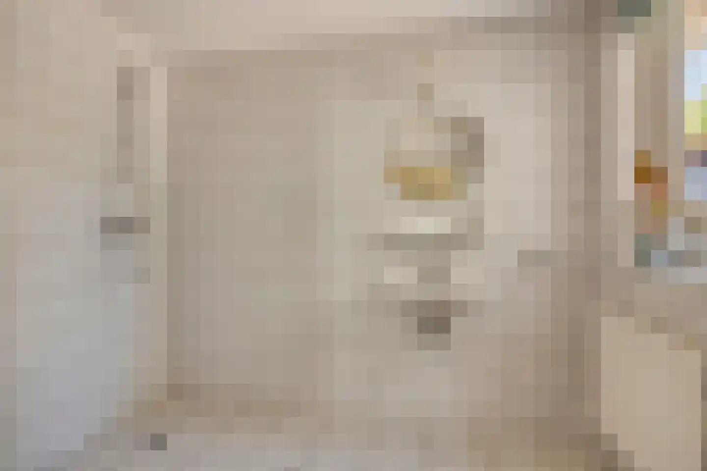 Veenhoeksweg 34 Klazienaveen thumbnail 12