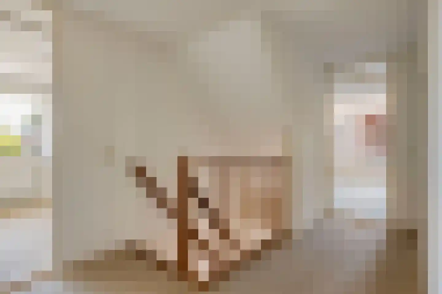 Veenhoeksweg 34 Klazienaveen thumbnail 13