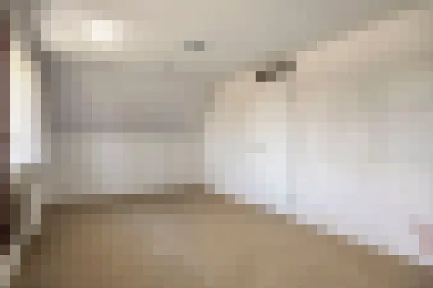Veenhoeksweg 34 Klazienaveen thumbnail 15