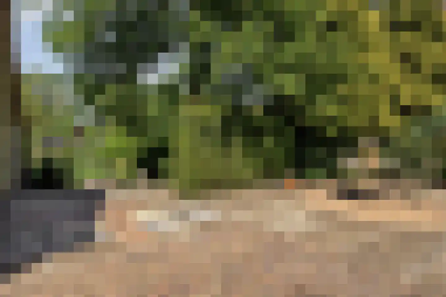 Veenhoeksweg 34 Klazienaveen thumbnail 26