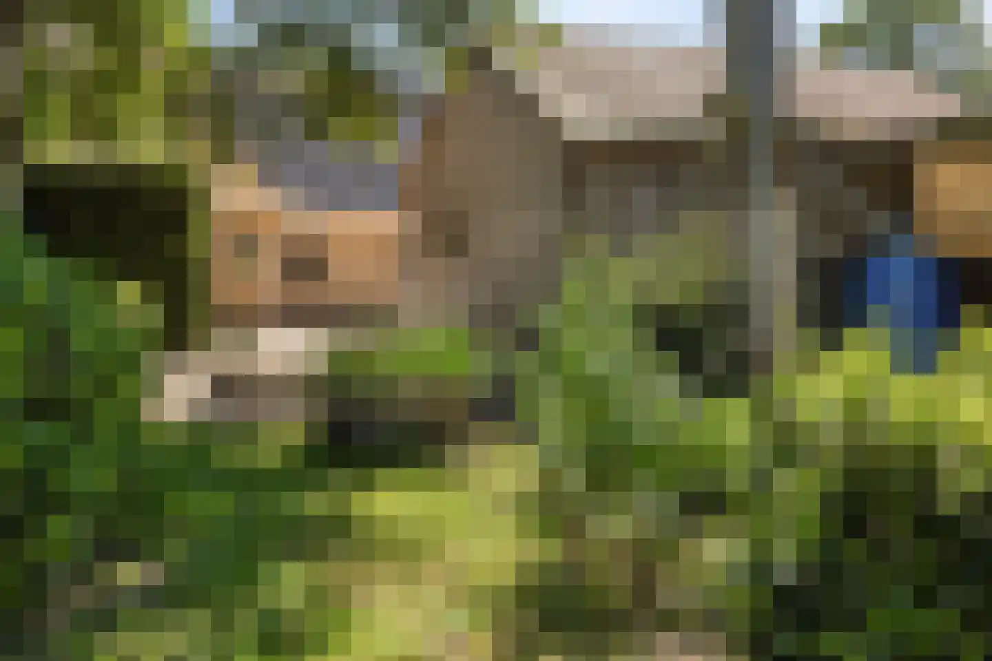 Veenhoeksweg 34 Klazienaveen thumbnail 28