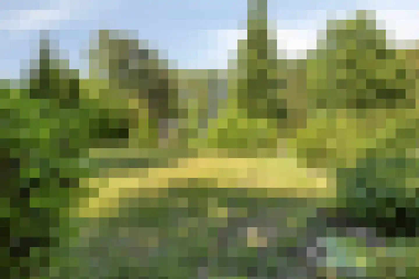 Veenhoeksweg 34 Klazienaveen thumbnail 29