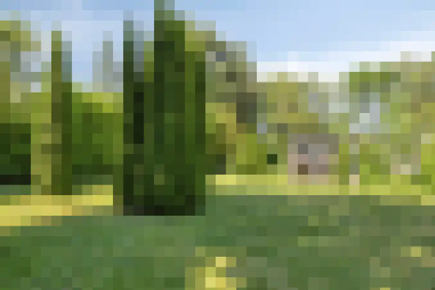 Veenhoeksweg 34 Klazienaveen thumbnail 31
