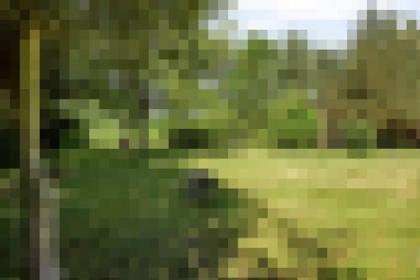 Veenhoeksweg 34 Klazienaveen thumbnail 32