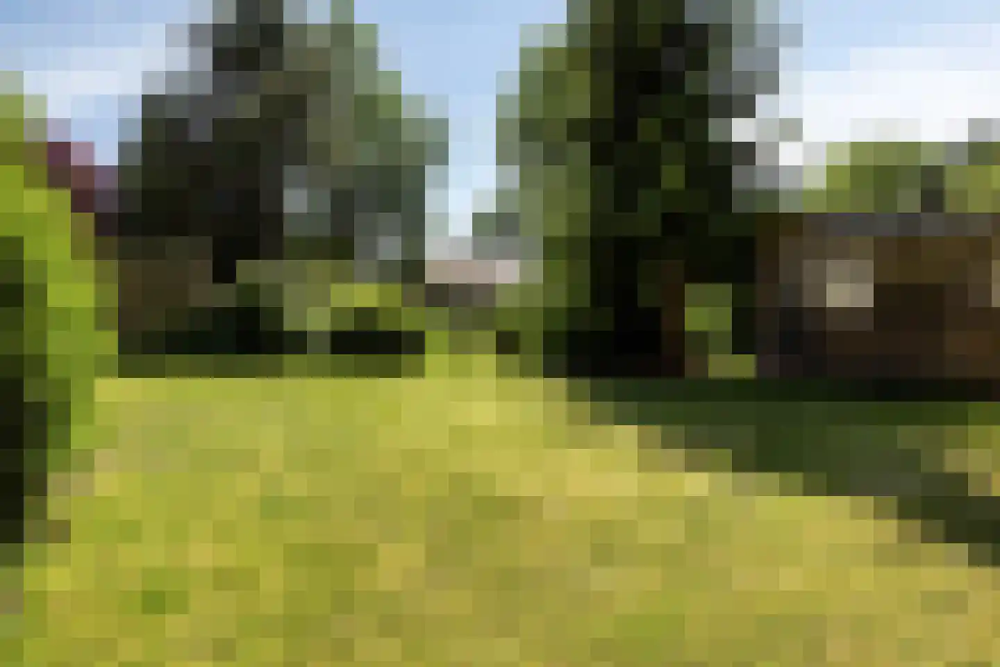Veenhoeksweg 34 Klazienaveen thumbnail 34