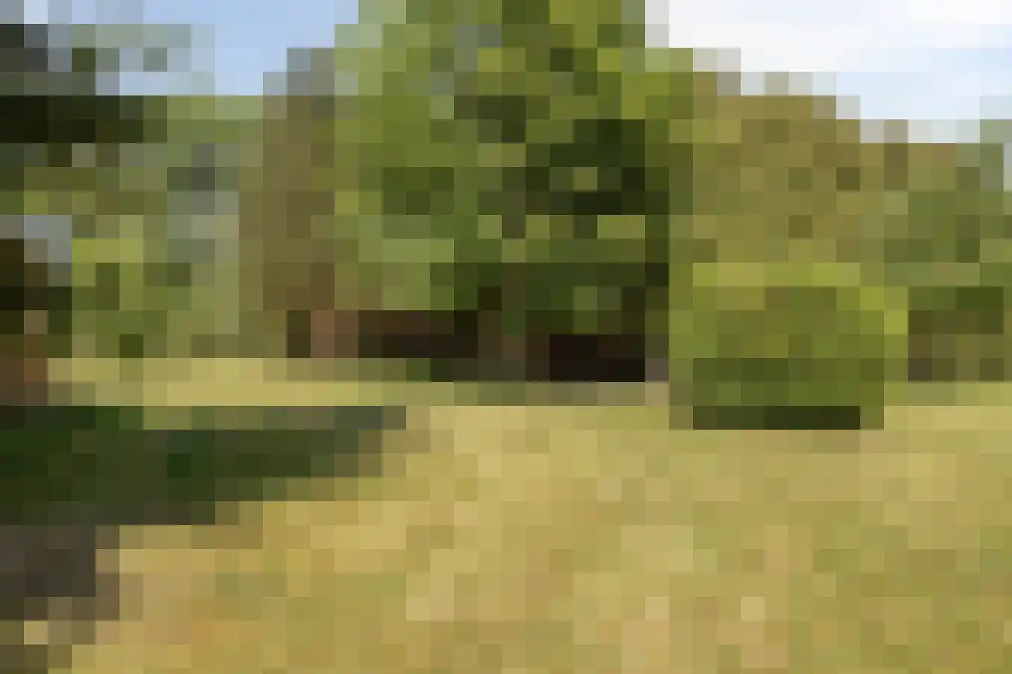 Veenhoeksweg 34 Klazienaveen thumbnail 35