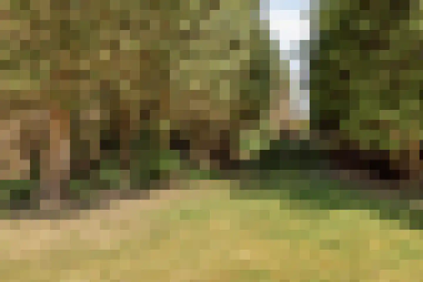 Veenhoeksweg 34 Klazienaveen thumbnail 36