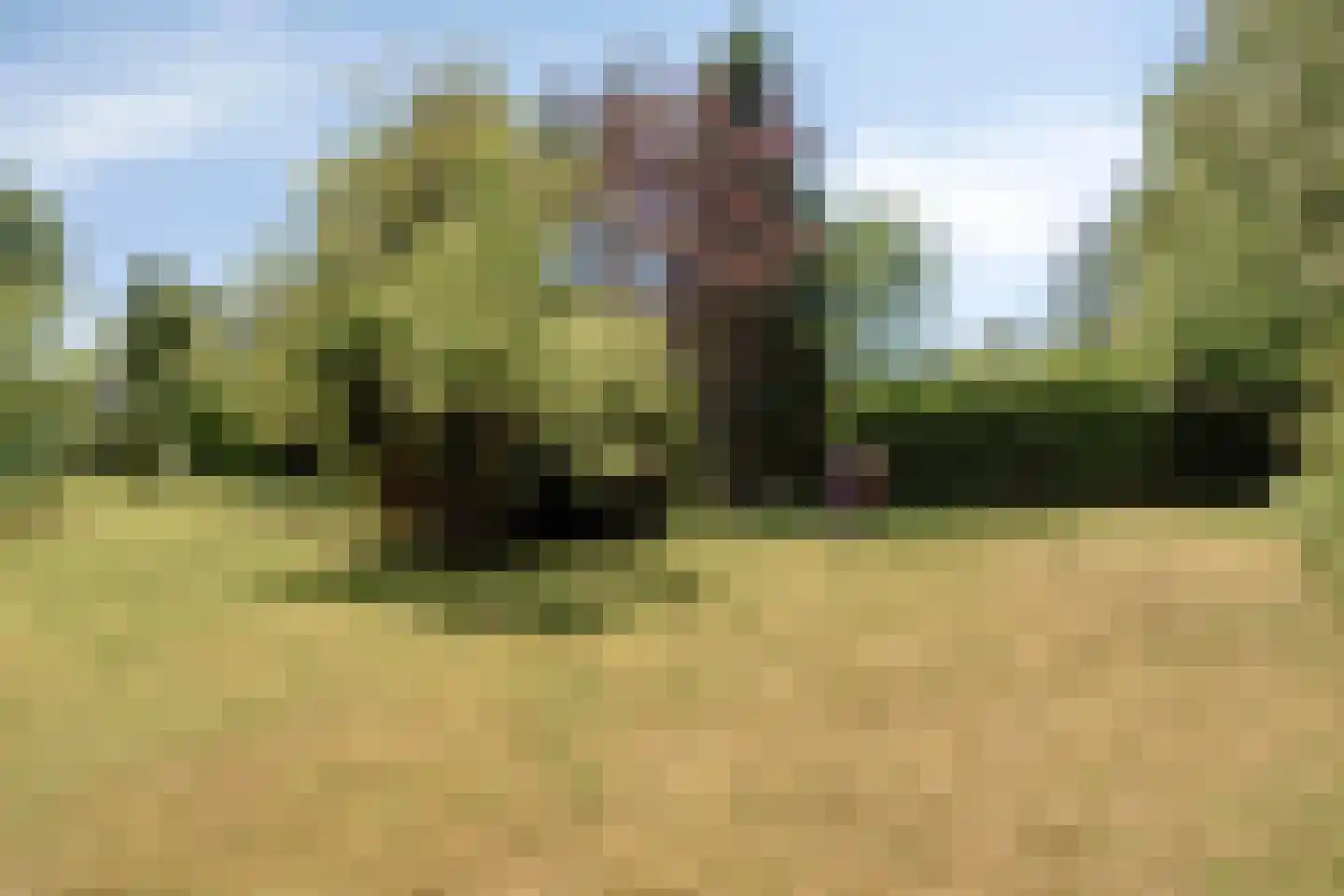 Veenhoeksweg 34 Klazienaveen thumbnail 37