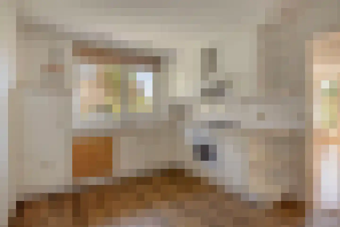 Veenhoeksweg 34 Klazienaveen thumbnail 8