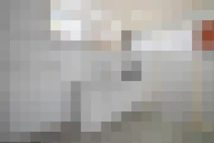 Veenhoeksweg 69 Klazienaveen thumbnail 17