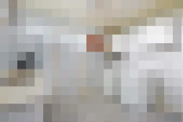 Veenhoeksweg 69 Klazienaveen thumbnail 18