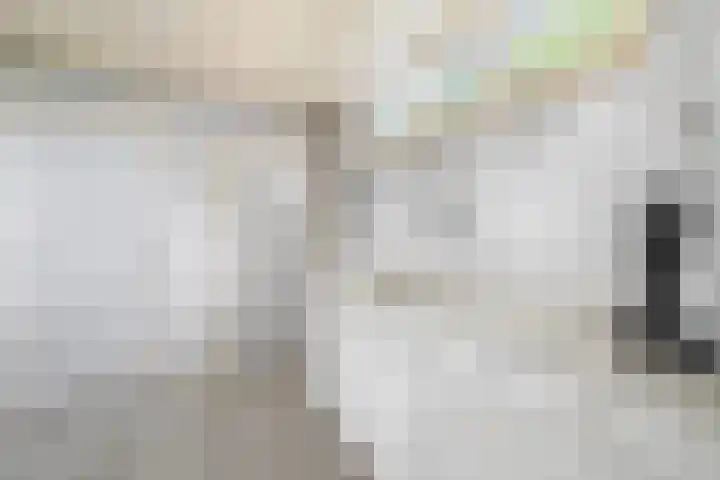 Veenhoeksweg 69 Klazienaveen thumbnail 19