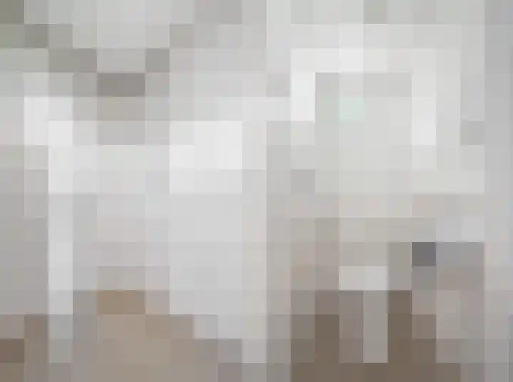 Veenhoeksweg 69 Klazienaveen thumbnail 20