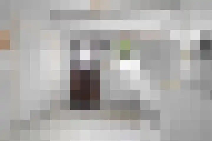 Veenhoeksweg 69 Klazienaveen thumbnail 21