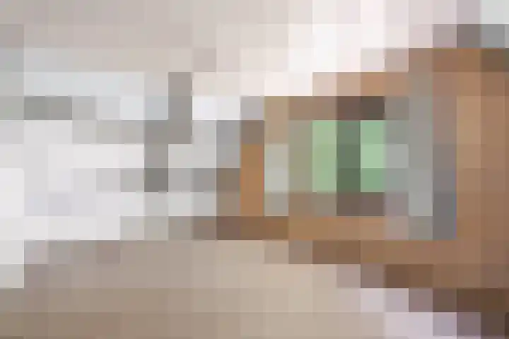 Veenhoeksweg 69 Klazienaveen thumbnail 27