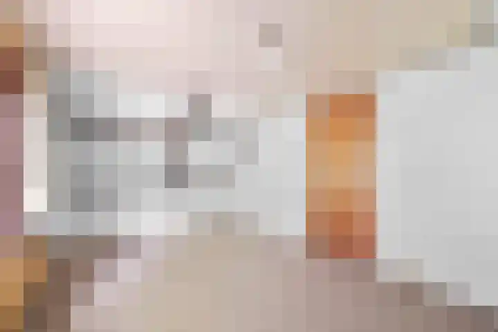 Veenhoeksweg 69 Klazienaveen thumbnail 28