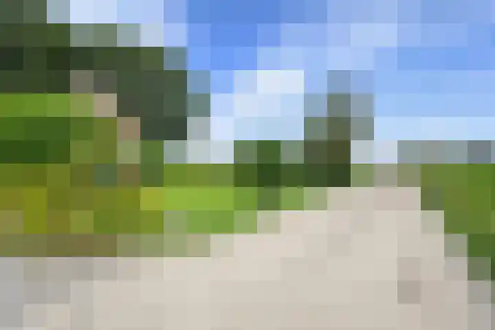 Veenhoeksweg 69 Klazienaveen thumbnail 30