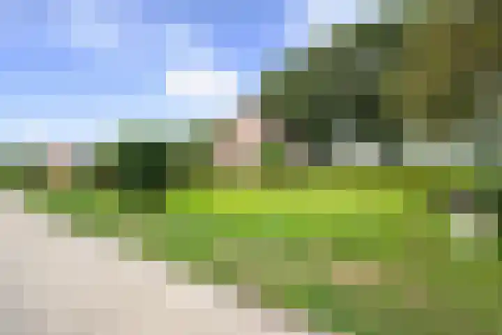 Veenhoeksweg 69 Klazienaveen thumbnail 31