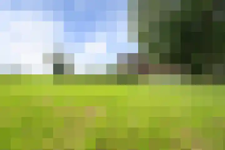 Veenhoeksweg 69 Klazienaveen thumbnail 32
