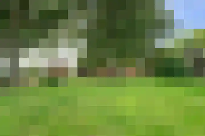 Veenhoeksweg 69 Klazienaveen thumbnail 33