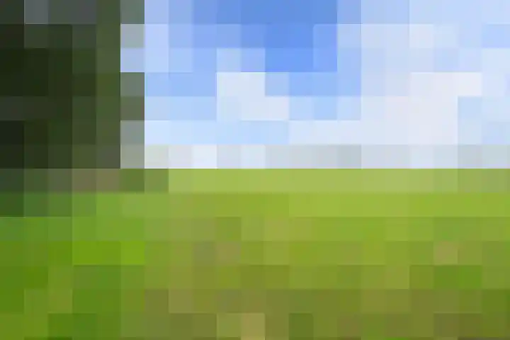 Veenhoeksweg 69 Klazienaveen thumbnail 34