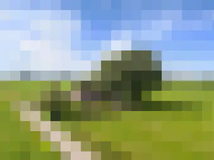 Veenhoeksweg 69 Klazienaveen thumbnail 36