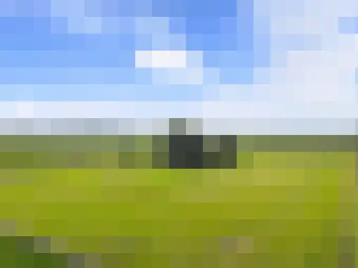 Veenhoeksweg 69 Klazienaveen thumbnail 37