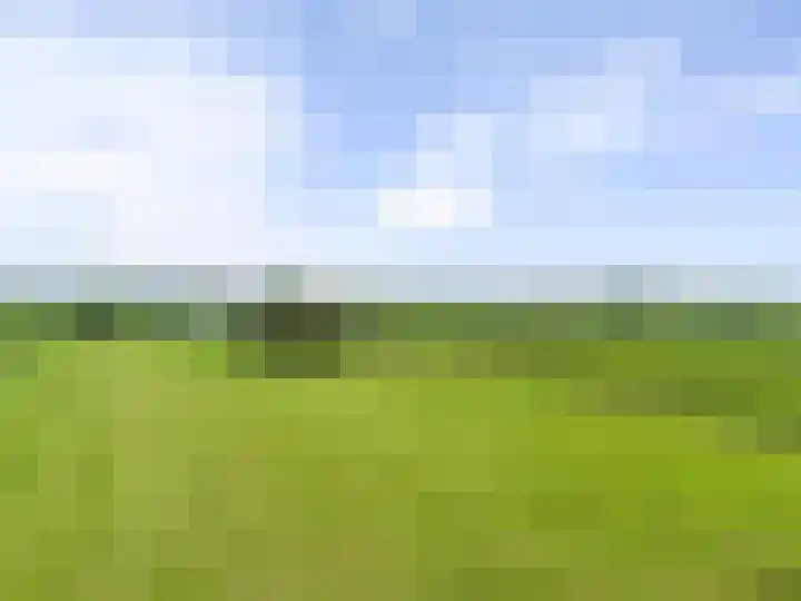 Veenhoeksweg 69 Klazienaveen thumbnail 38