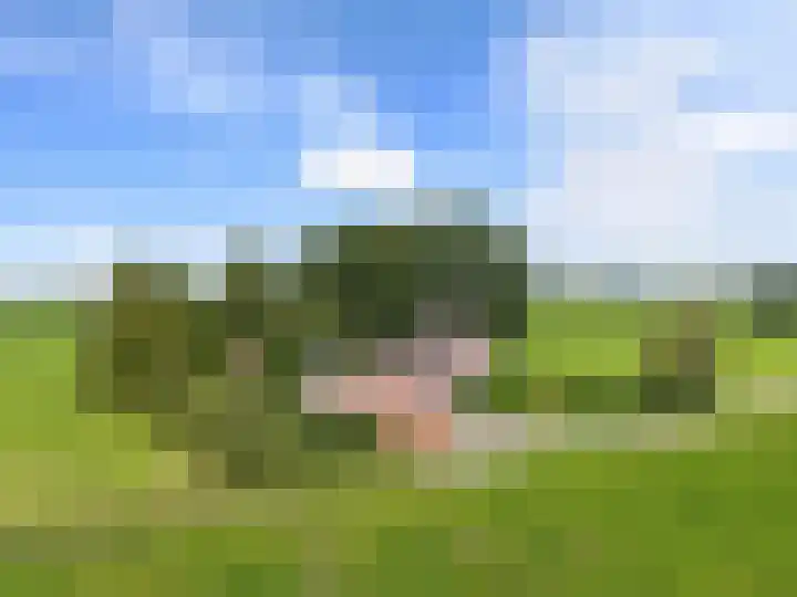 Veenhoeksweg 69 Klazienaveen thumbnail 44