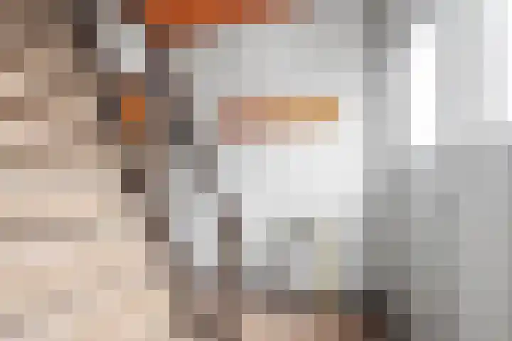 Veenhoeksweg 69 Klazienaveen thumbnail 6