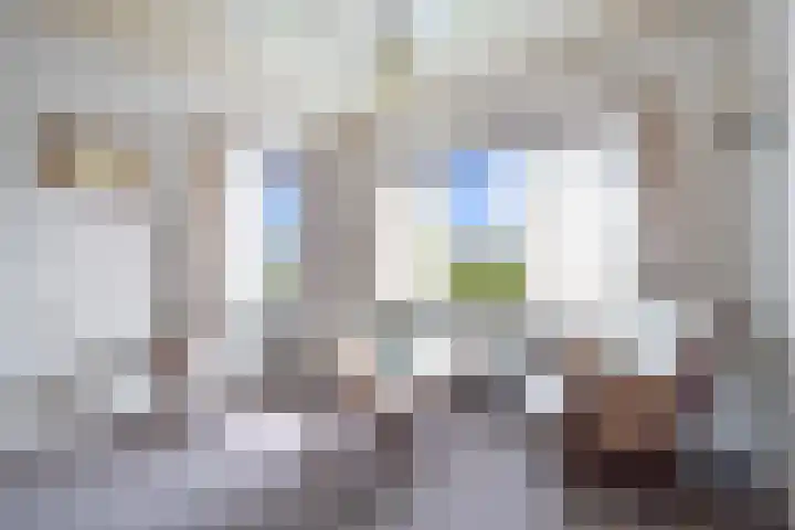Veenhoeksweg 69 Klazienaveen thumbnail 8