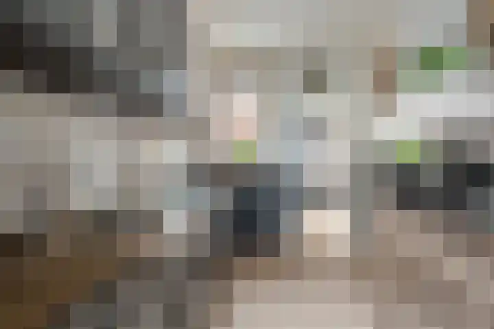 Veenhof 10 Eexterveenschekanaal thumbnail 12