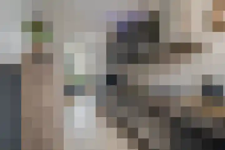 Veenhof 10 Eexterveenschekanaal thumbnail 13
