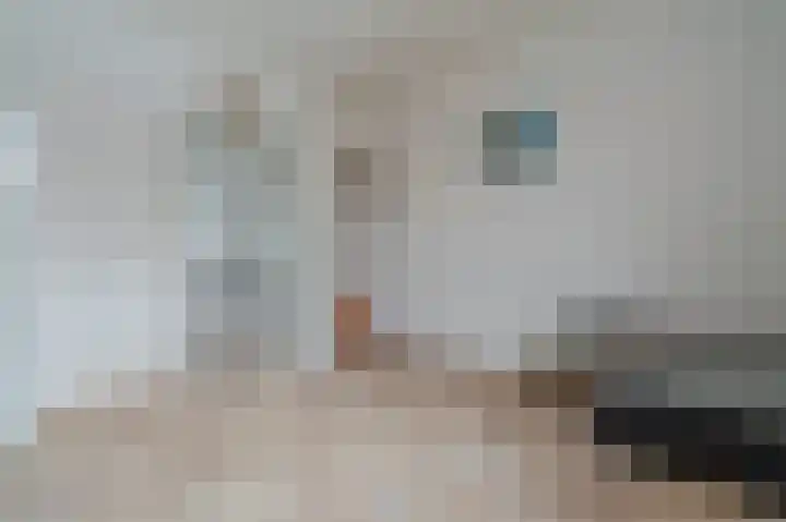Veenhof 10 Eexterveenschekanaal thumbnail 15