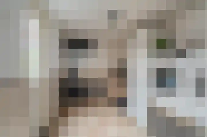 Veenhof 10 Eexterveenschekanaal thumbnail 17
