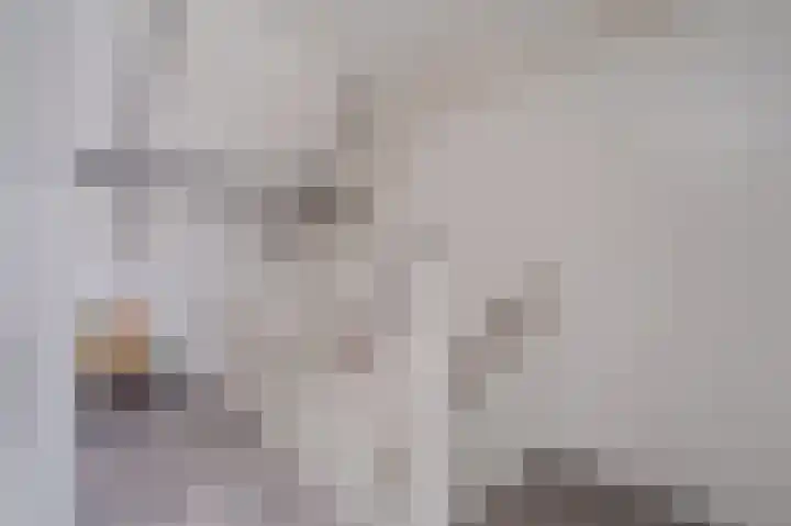 Veenhof 10 Eexterveenschekanaal thumbnail 19