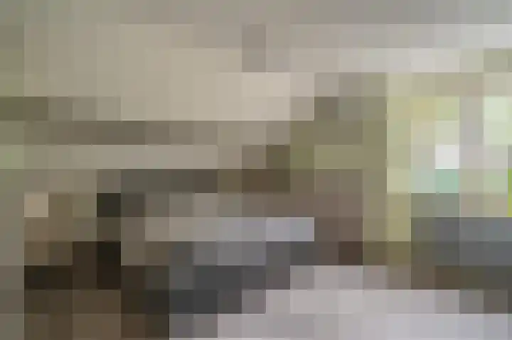 Veenhof 10 Eexterveenschekanaal thumbnail 20
