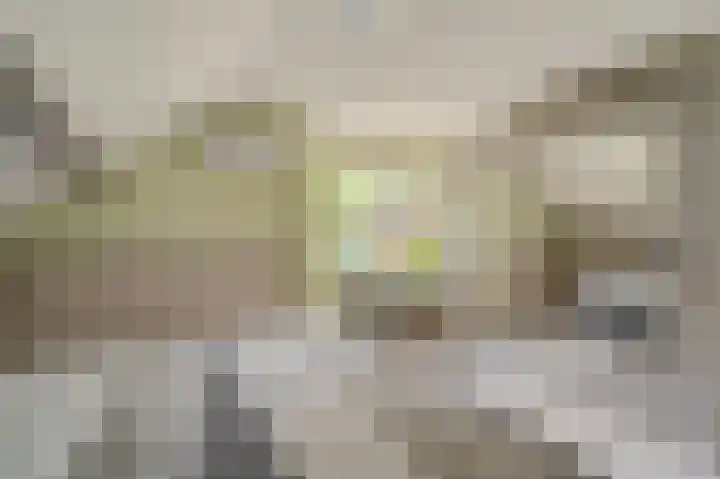 Veenhof 10 Eexterveenschekanaal thumbnail 21