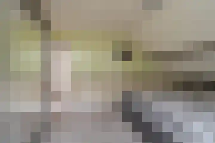 Veenhof 10 Eexterveenschekanaal thumbnail 22