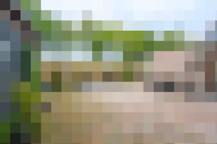 Veenhof 10 Eexterveenschekanaal thumbnail 33
