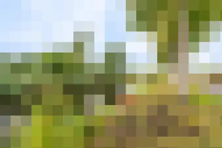 Veenhof 10 Eexterveenschekanaal thumbnail 39