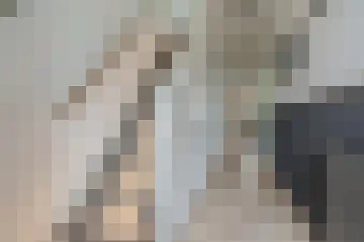 Veenhof 10 Eexterveenschekanaal thumbnail 4
