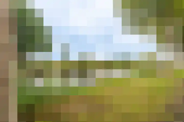 Veenhof 10 Eexterveenschekanaal thumbnail 40