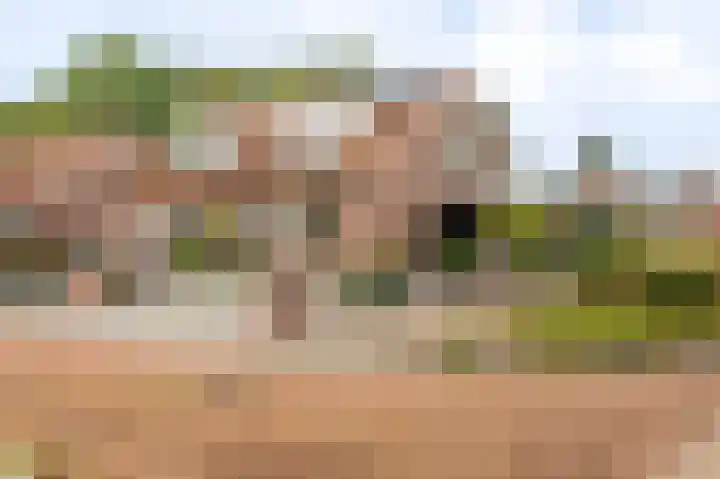 Veenhof 10 Eexterveenschekanaal thumbnail 41