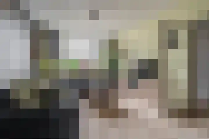 Veenhof 10 Eexterveenschekanaal thumbnail 9