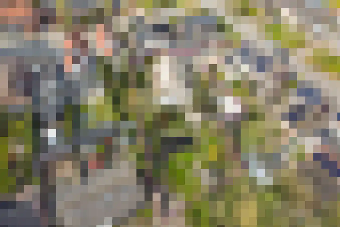 Veenhof 1016 Wijchen