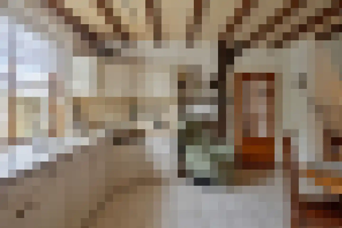 Veenhof 1016 Wijchen thumbnail 13